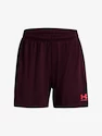 Dámské šortky Under Armour  W's Ch. Knit Short-MRN