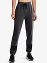 Dámské tepláky Under Armour  Rival Terry CB Jogger-GRY