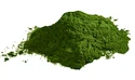 EXP LifeLike BIO Chlorella 100 g