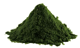 EXP LifeLike BIO Spirulina prášek 100 g