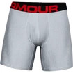 Pánské boxerky Under Armour  Tech 6" 2 Pack grey Dynamic