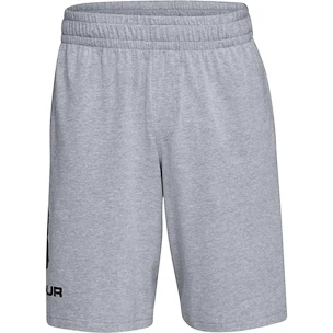 Pánské šortky Under Armour  COTTON BIG LOGO SHORTS gray XXL