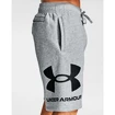 Pánské šortky Under Armour  Rival FLC Big Logo Shorts gray