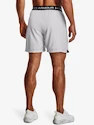 Pánské šortky Under Armour  Vanish Woven 6in Shorts-GRY