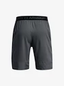 Pánské šortky Under Armour  Vanish Woven 8in Shorts-GRY