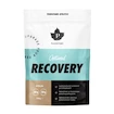 Puhdistamo  Optimal Recovery Whey 700 g