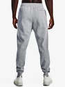 Tepláky Under Armour UA RIVAL FLC GRAPHIC JOGGER-GRY