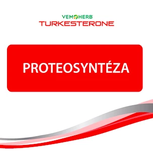 VemoHerb Turkesterone 60 kapslí